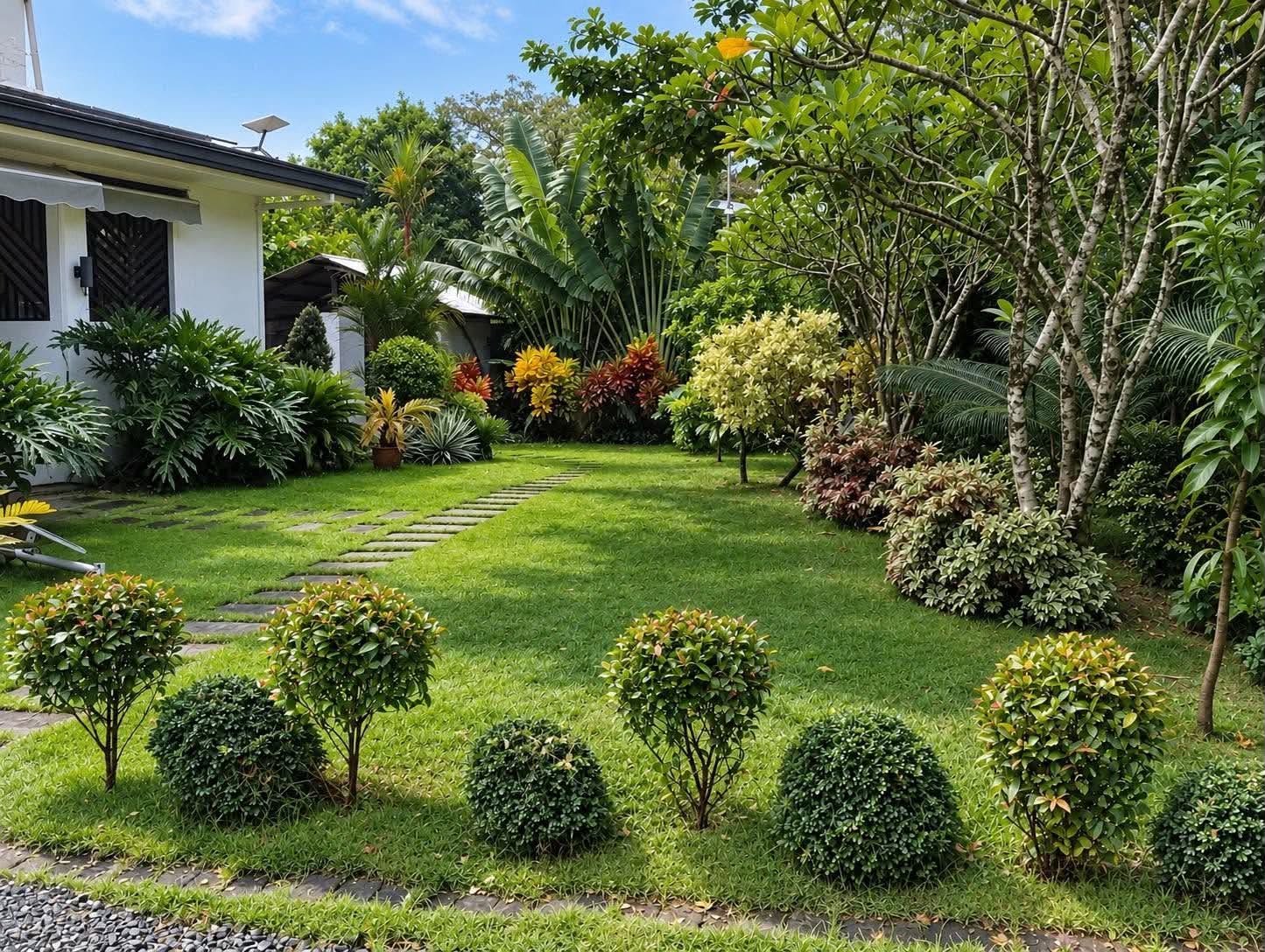 Stepping-stone path through lush tropical planting
