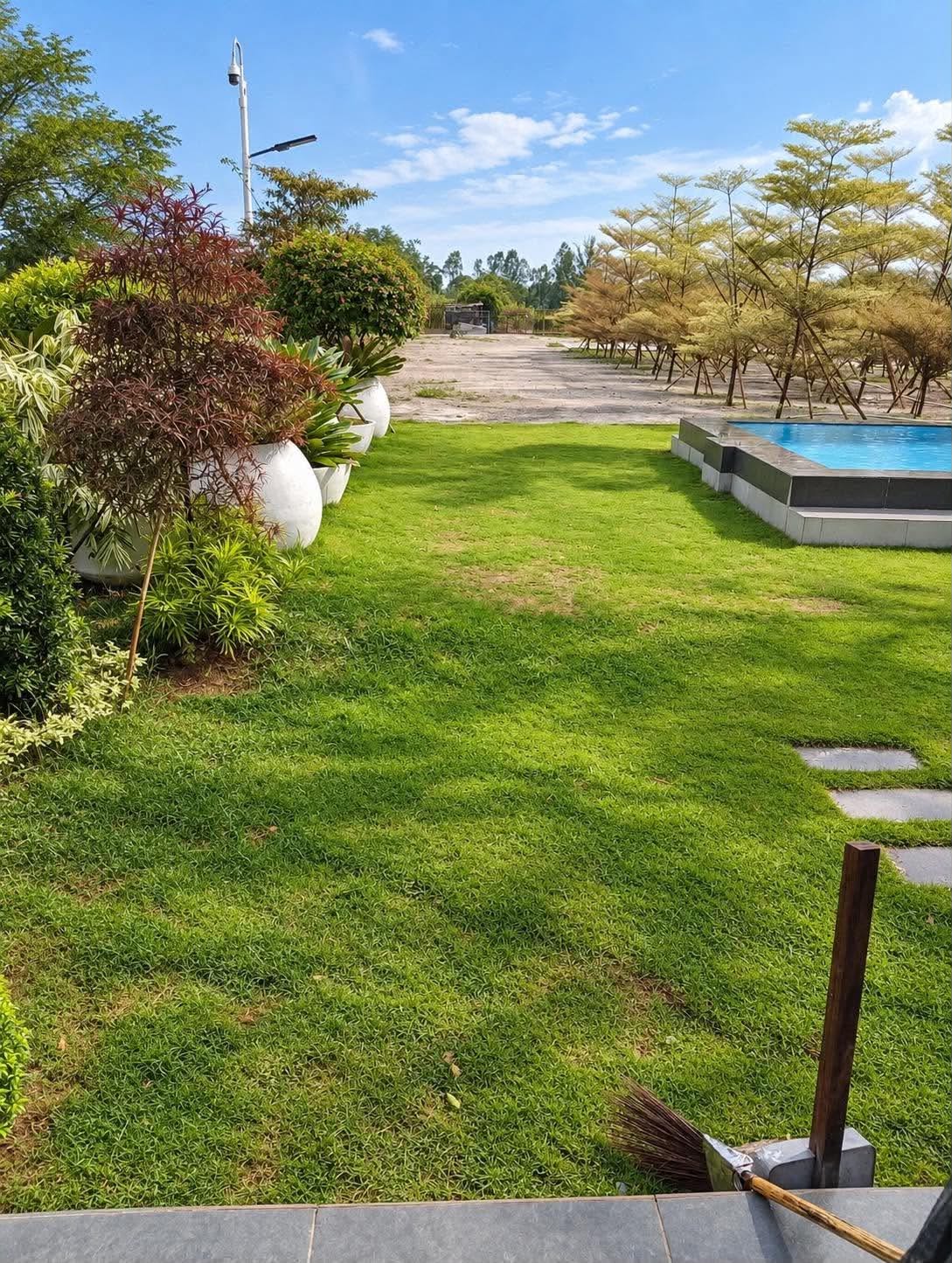 Sunny lawn beside the pool and garden trees