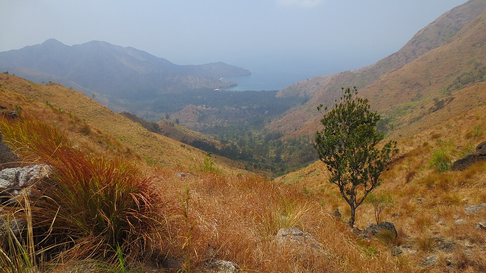 View of Anawangin Cove from the Mount Pundaquit trail